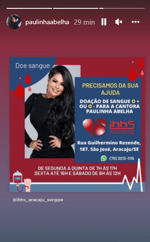 Perfil de Paulinha Abelha pede doação de sangue (Foto: Reprodução/Instagram)