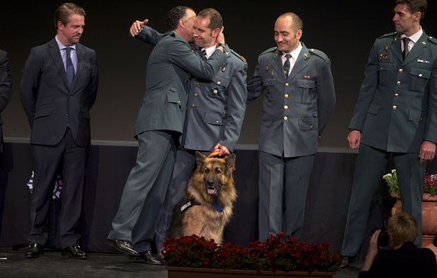 Cão espanhol é o 22º a receber a honraria animal emitida pela organização britânica PDSA (Foto: Paul White/AP)