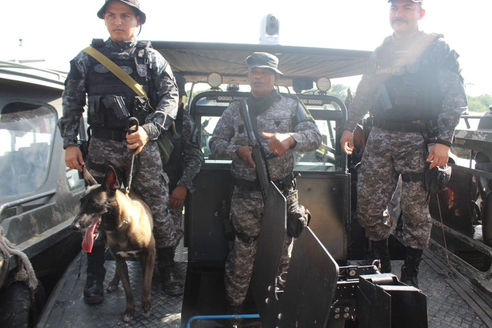 Cadela Fiona vai ajudar nas buscas por desaparecidos em Atalaia do Norte.  — Foto: Robson Padilha