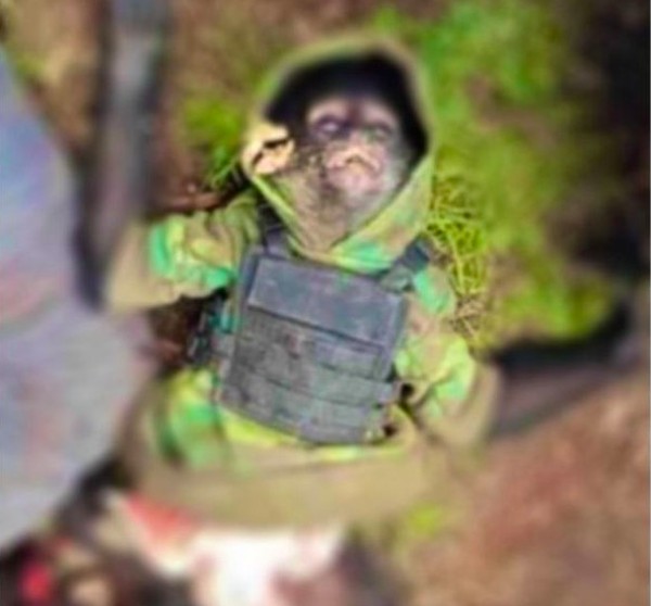 O macaco que morreu em tiroteio no México (Foto: Reprodução)
