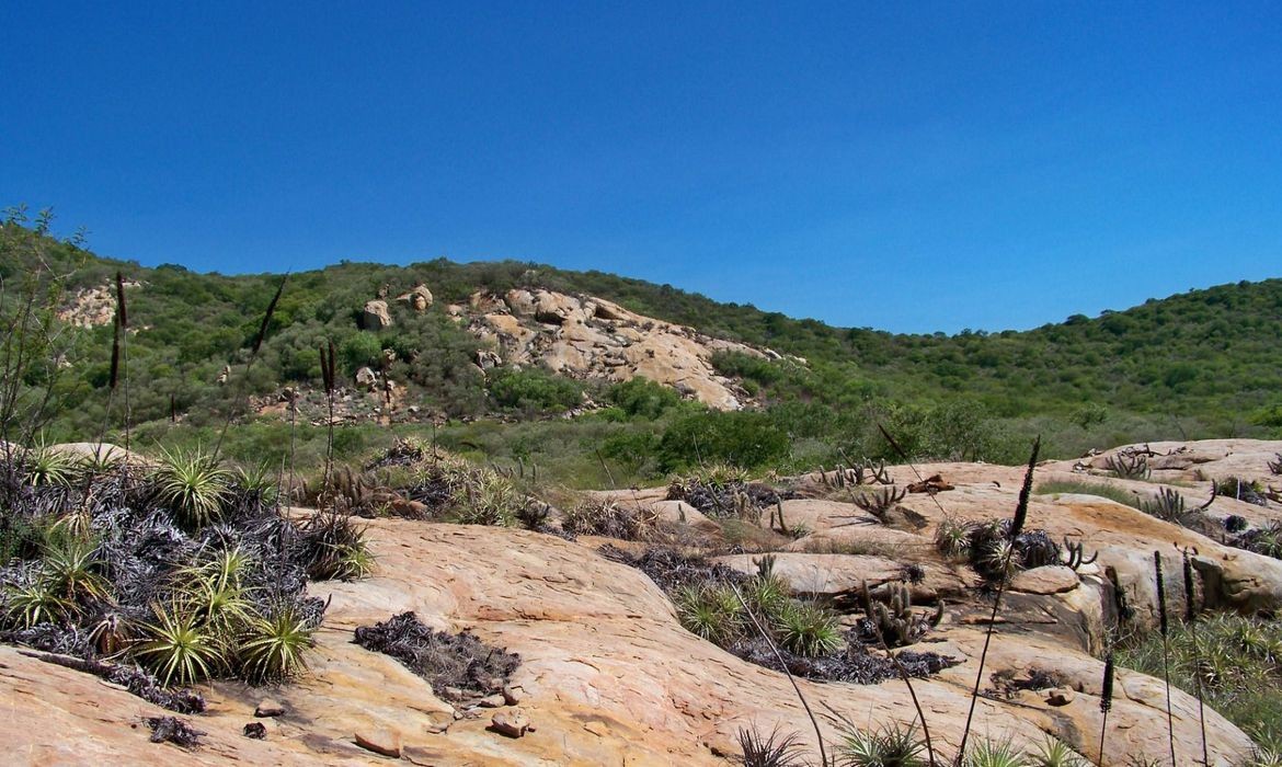 Unesco inclui duas áreas do Brasil na lista de geoparques mundiais (Foto: ICMBIO/divulgação)