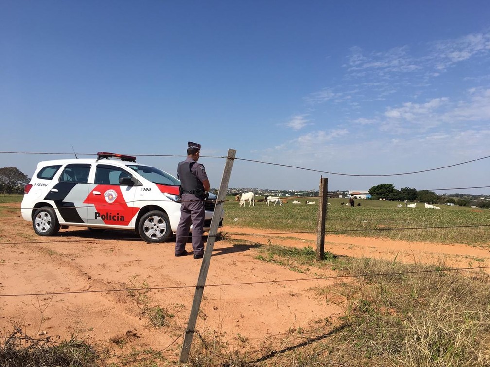 Acidente foi em um aeródromo particular em Álvares Machado, em 16 de julho de 2020 — Foto: Aline Costa/G1