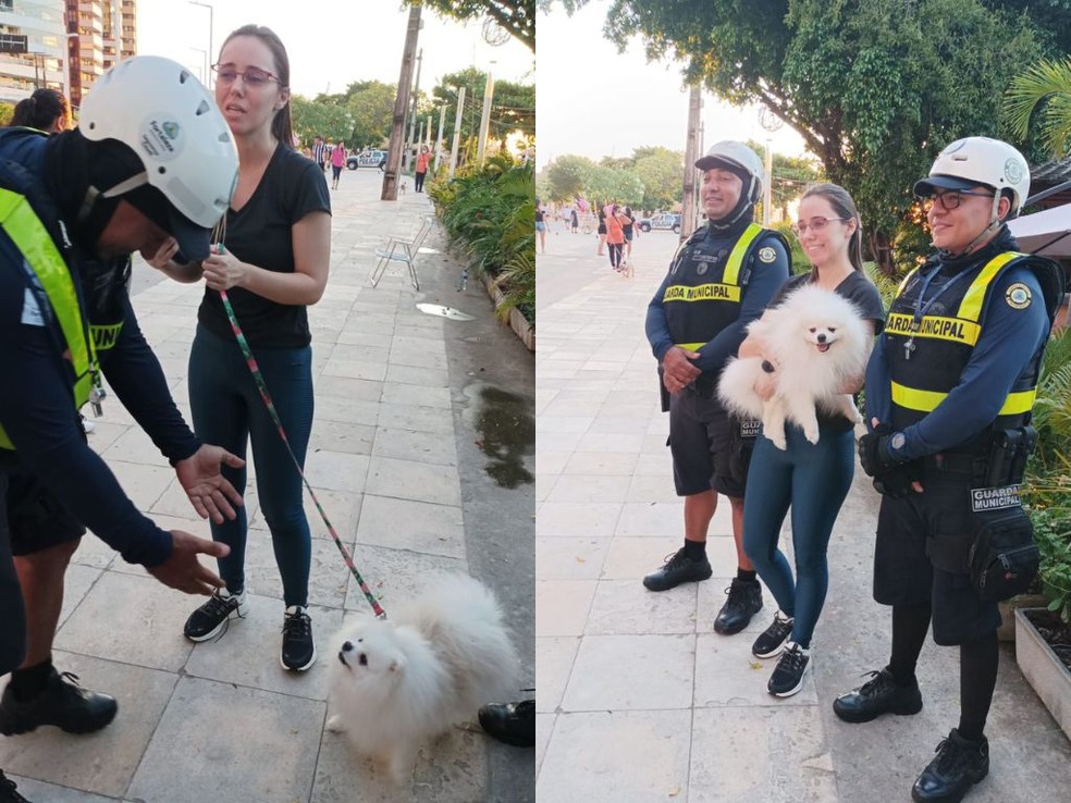 Tutora e animal faziam passeio na Av. Beira Mar quando cadela passou mal. — Foto: Divulgação