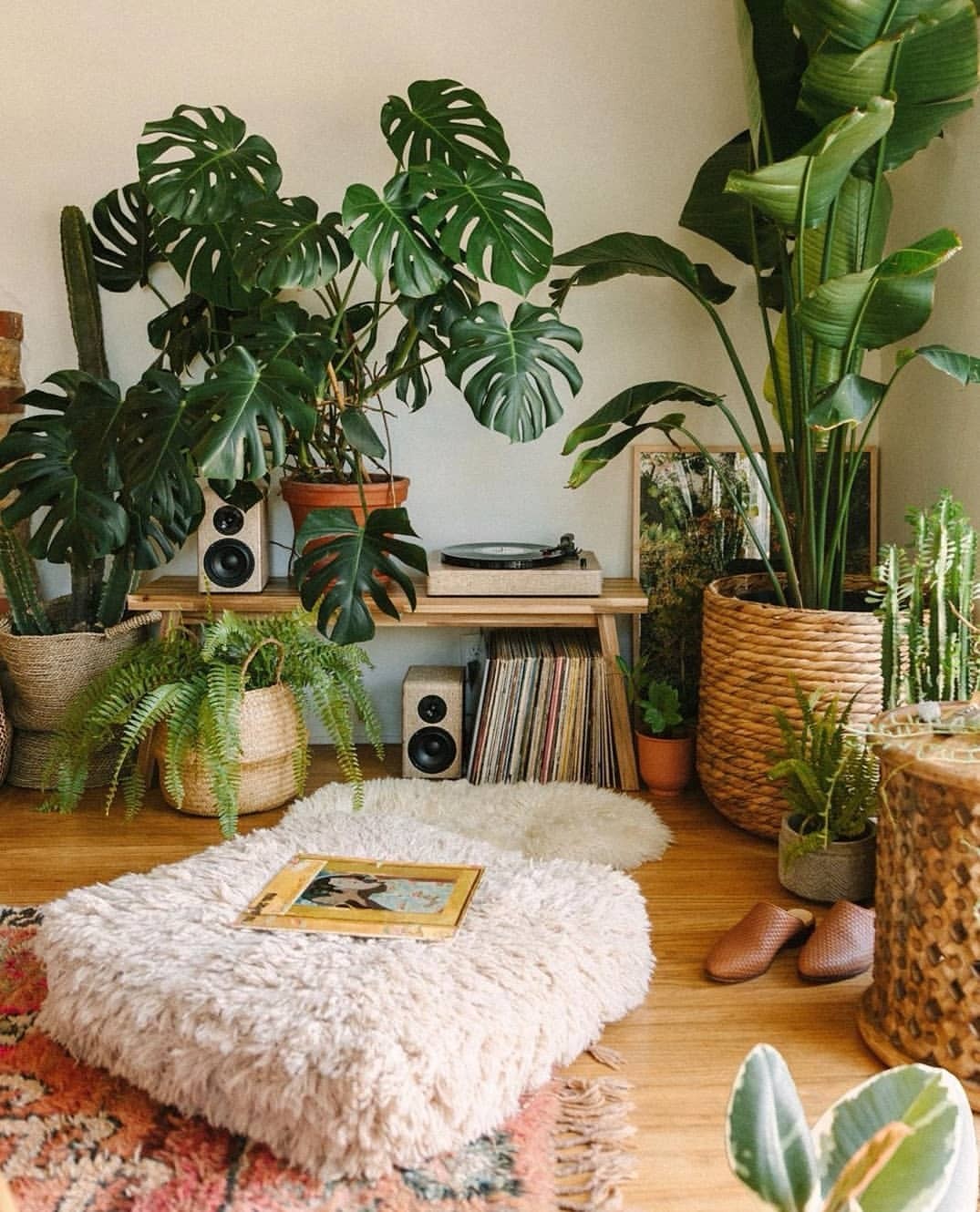 Jardim pequeno: ideias para ter plantas em casas ou apartamentos (Foto: Reprodução/Instagram/@saratoufali)