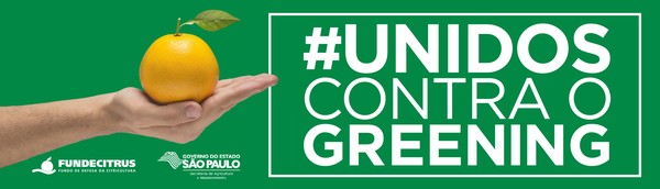 Bagaço Da Laranja Fundo De Quintal Laranja Ajuda A Prevenir O Cancer Unidos Contra O Greening G1