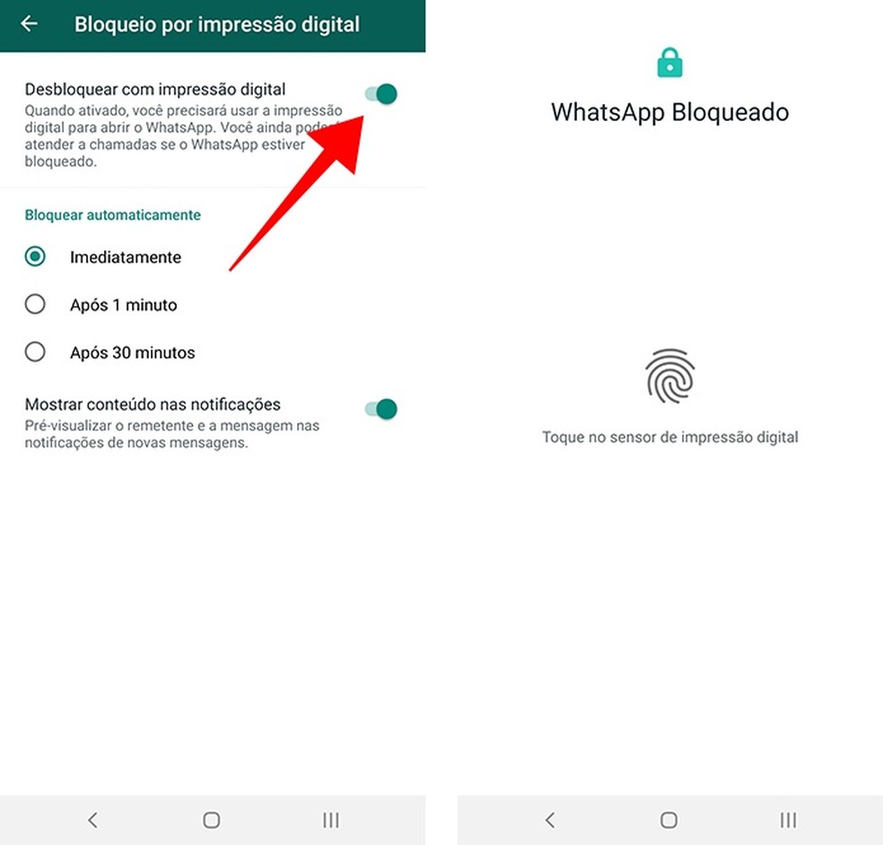 Bloqueio com digitais protege conversas no WhatsApp — Foto: Reprodução/Paulo Alves