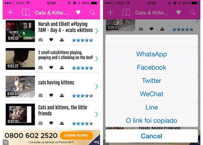 App para iOS oferece v?deos engra?ados apenas de gatos para compartilhar no WhatsApp (Foto: Reprodu??o/Barbara Mannara)