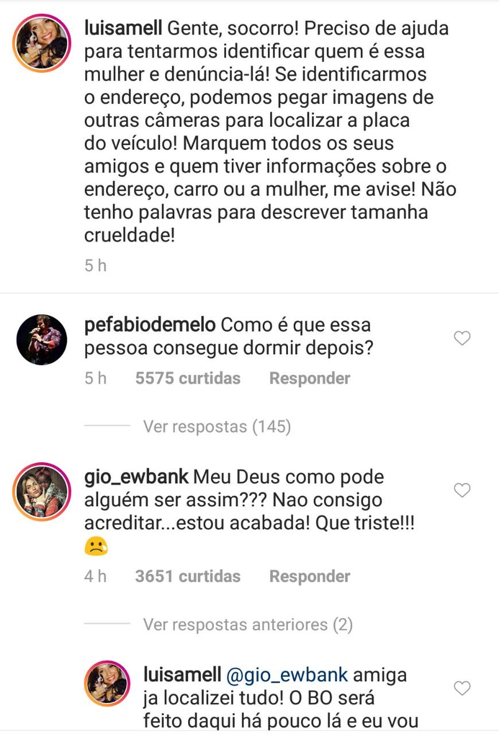 Artistas se pronunciaram sobre o atropelamento dos cachorros em São Luís (Foto: Reprodução/Instagram)