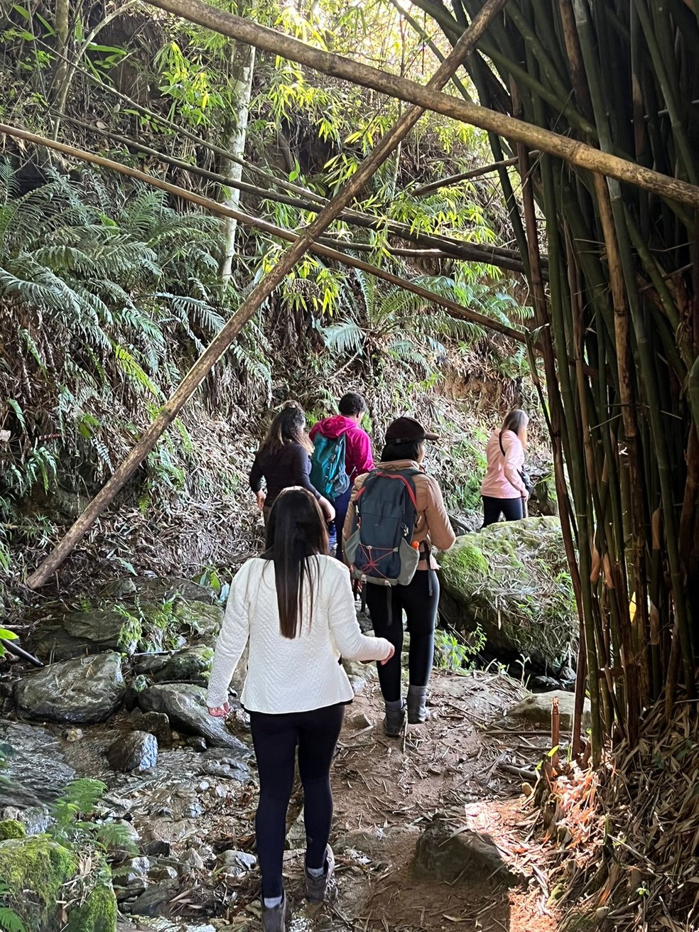 Visitantes em trilha de Santa Bárbara do Tugúrio — Foto: Sistema Faemg/Divulgação