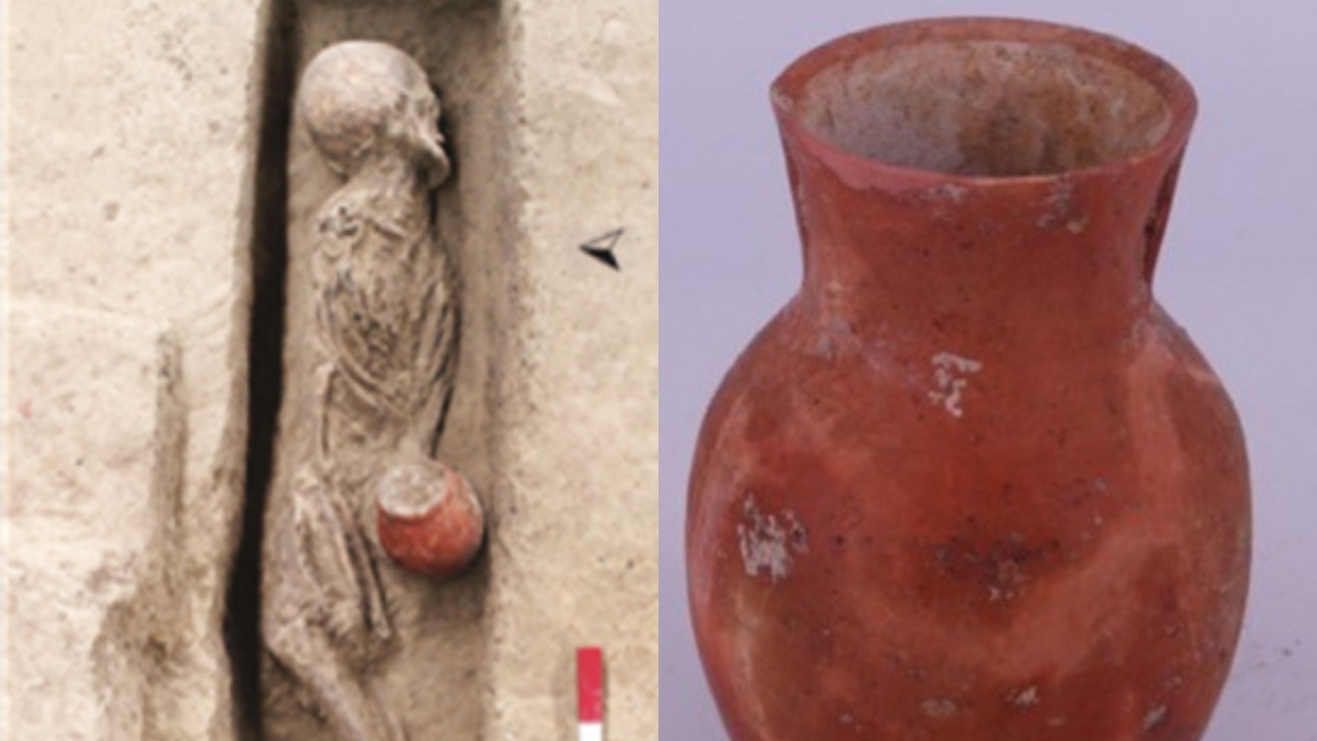 Esqueleto e vaso encontrados em antigo cemitério em Qiaotou, na China  (Foto: Leping Jiang/Leping Jiang)