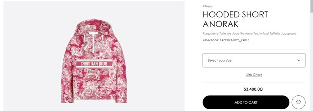 Blusa Hooded Short Anorak, da Dior: US $ 3,4 mil (Foto: Dior)