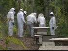 Produção de mel ajuda a desenvolver aldeias do Litoral da Paraíba