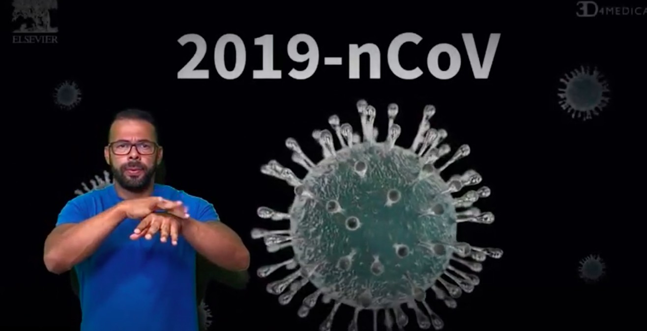 Site passa informações em libras sobre o novo coronavírus (Foto: Reprodução)