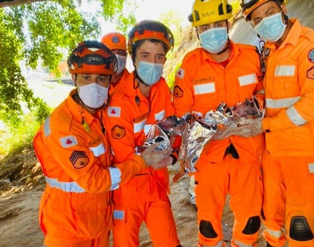 Um dos bebês já tinha nascido quando o Corpo de Bombeiros chegou (Foto: Reprodução/Instagram/4º BBM)