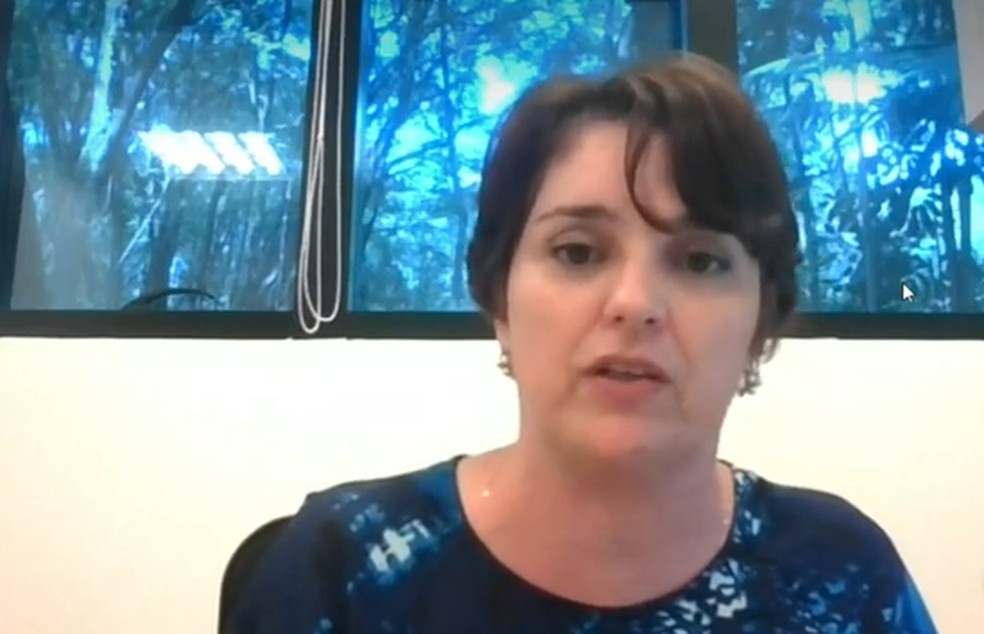 Sandra Coccuzzo Verssoni, pesquisadora do Instituto Butantan, falou sobre a nova cepa identificada em Sorocaba (SP) — Foto: TV TEM/Reprodução