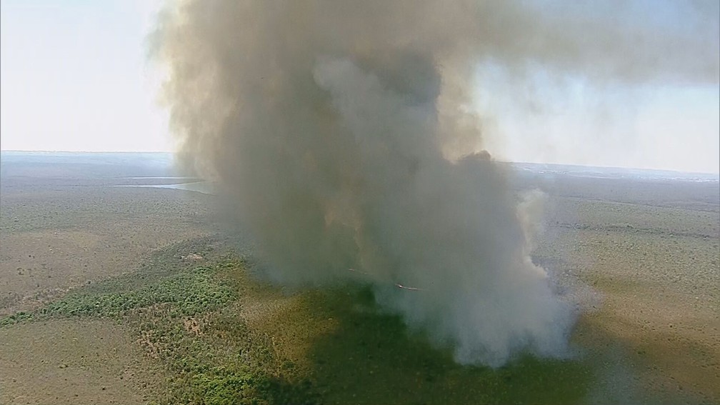 Incêndio no Parque Nacional de Brasília, nesta segunda-feira (5) — Foto: TV Globo/Reprodução