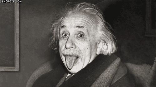 Ajuda, Einstein! (Foto: Reprodução)