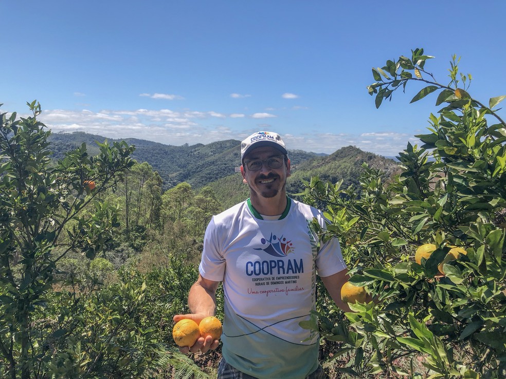 Seu Valdeci produz laranja e mexerica na parte mais alta da propriedade, em Domingos Martins — Foto: Juliana Borges/G1