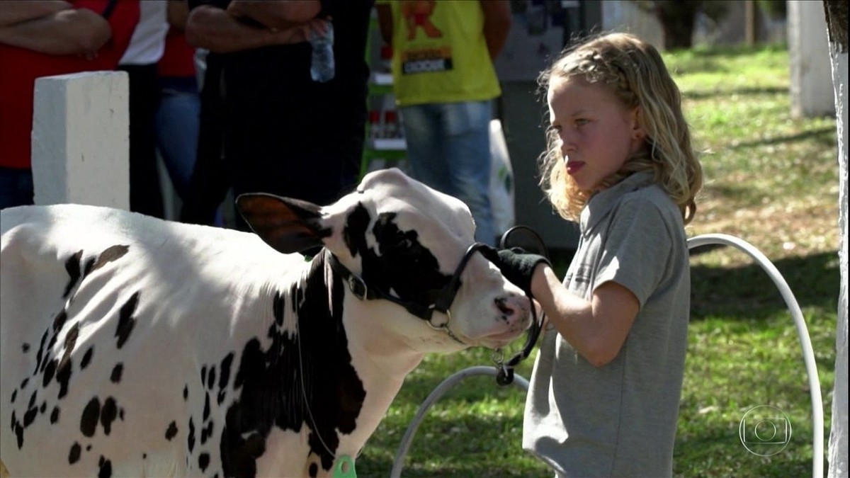 Projeto no Paraná estimula a relação de crianças com a produção de leite thumbnail