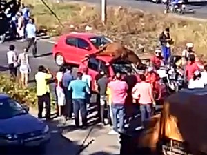 Cavalo  foi atropelado por carro na BR-101 Sul, na altura do Ceasa, no Recife (Foto: Reprodução / WhatsApp)