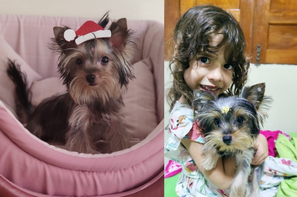 Em vídeo, irmã de menino autista faz apelo para devolverem cachorrinha desaparecida da família no AC — Foto: Arquivo pessoal