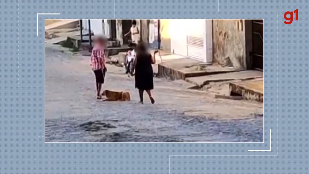 Casal é flagrado enquanto 'chicoteia'  cachorro em Campina Grande — Foto: Reprodução/TV Paraíba
