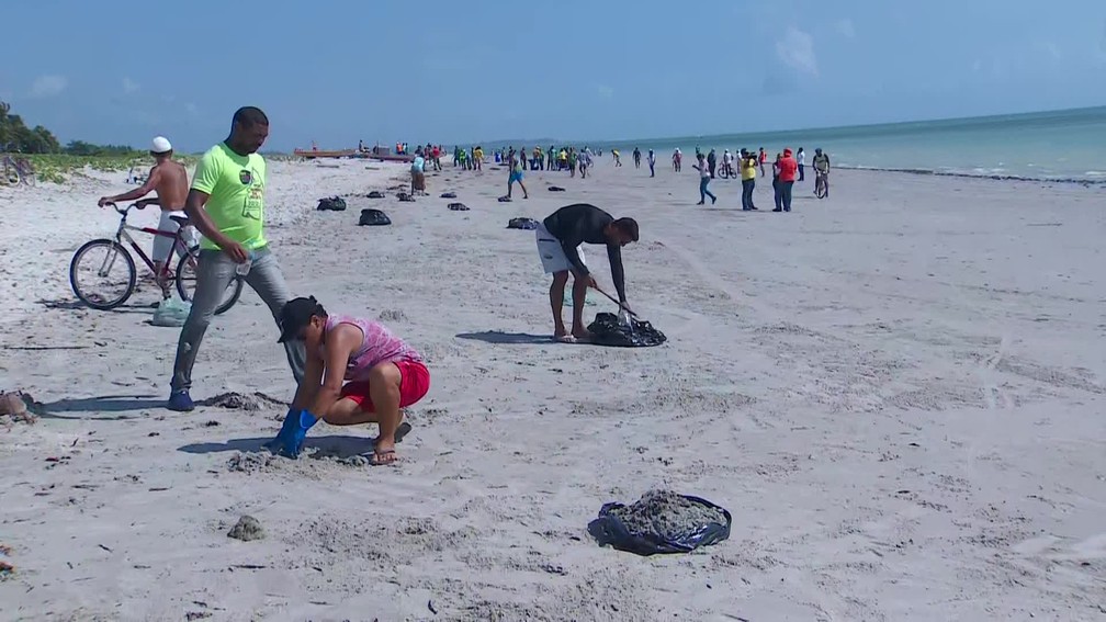 Voluntários removem óleo de praia na Ilha de Itamaracá, no Grande Recife — Foto: Reprodução/TV Globo