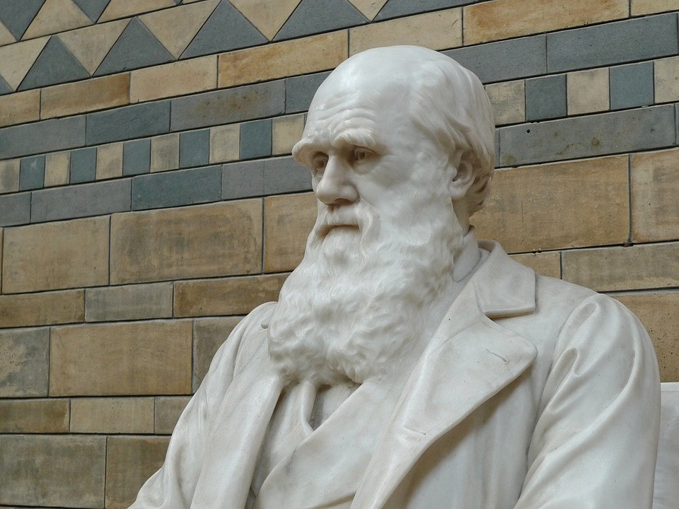 Darwin (Foto: Pixabay)