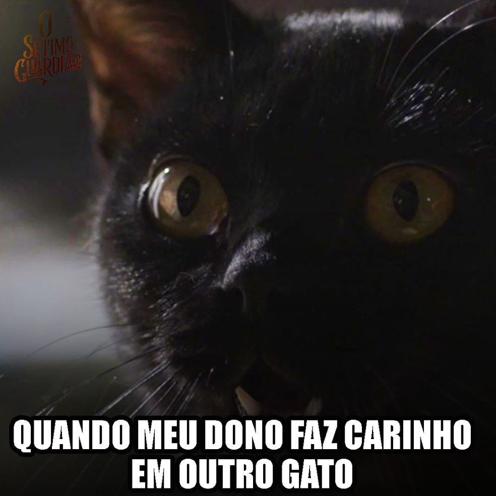 Memes Do Gato Leon De O Setimo Guardiao Confira O Setimo Guardiao Gshow