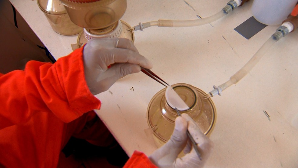 Pesquisadores de 24 universidades estudam impactos da lama da Samarco â Foto: Rafael Zambe/ TV Gazeta