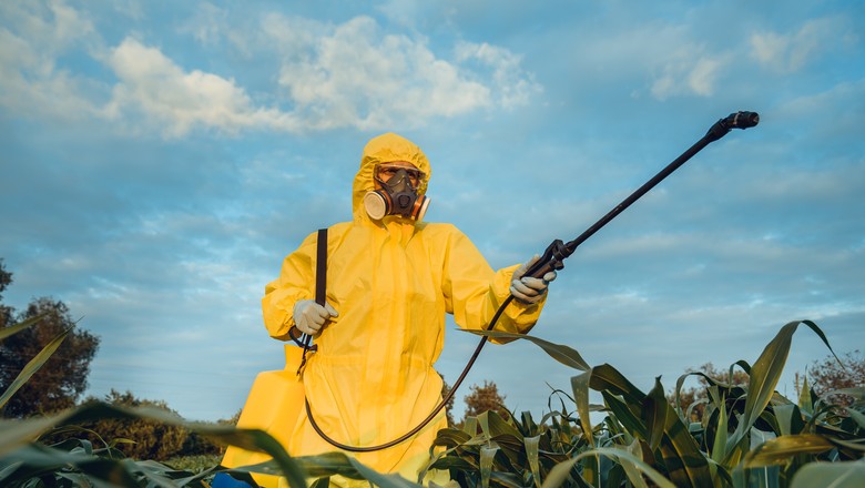 agrotóxico herbicida defensivo agrícola  (Foto: Getty Images)
