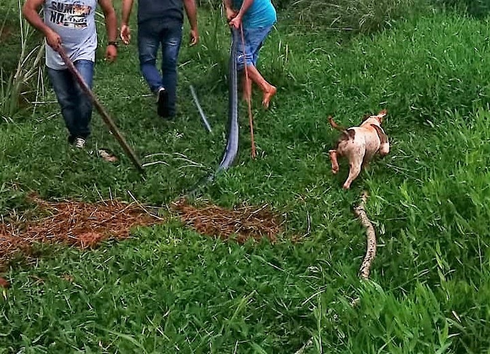 Além do homem autuado, outras pessoas também aparecem nas imagens — Foto: PMA/Divulgação