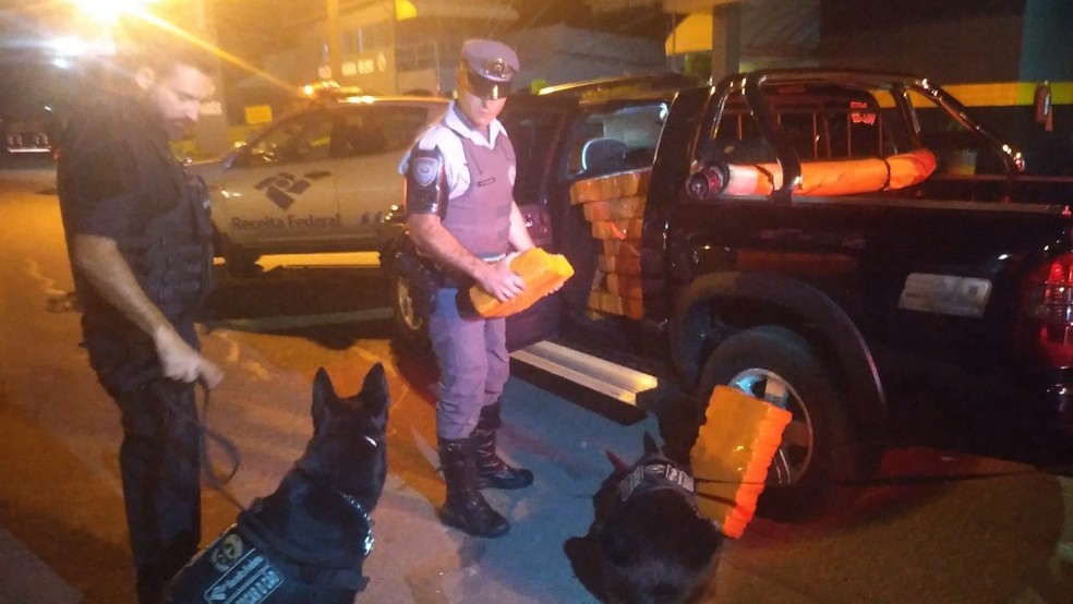 Cães farejadores ajudaram a polícia a identificar a droga no veículo em Rio Claro — Foto: Polícia Rodoviária/Divulgação