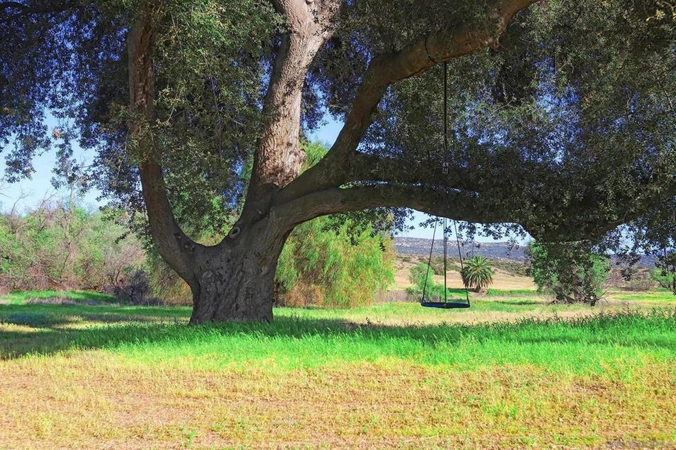 As fotos mostram a vasta propriedade com trilhas para caminhadas e passeios a cavalo, terreno plano para gado e vistas deslumbrantes das montanhas — Foto: Coldwell Banker Homes / Reprodução