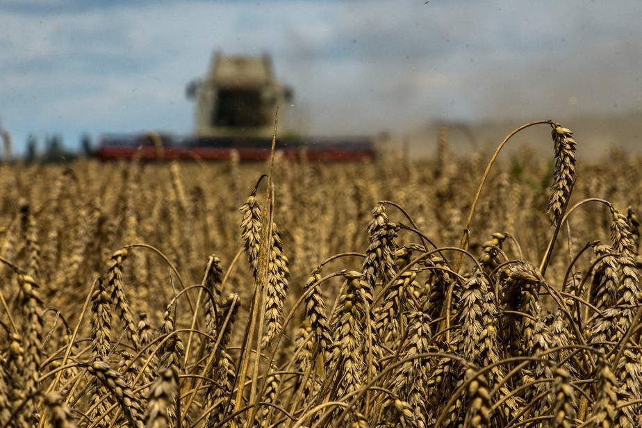 O trigo mais ativo da Bolsa de Chicago caiu 2%, para 7,8075 dólares o bushel