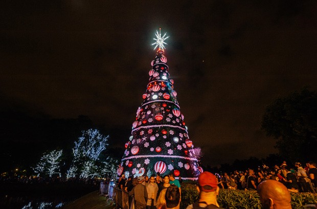 Vista da árvore de natal lindamente decorada