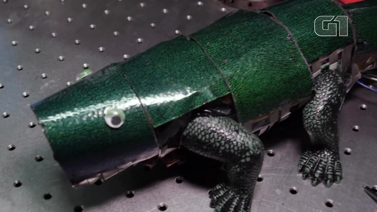 Pesquisadores criam robô camaleão com “pele” artificial capaz de se camuflar; veja o vídeo | Ciência