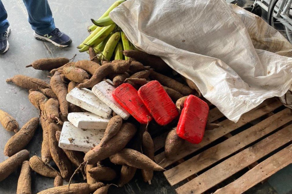 Droga foi encontrada dentro de um saco com as macaxeiras.— Foto: Divulgação/PF