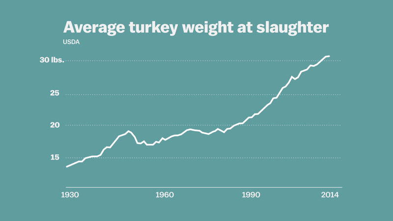 Evolução do peso dos perus na hora do abate por década (Foto: Reprodução)