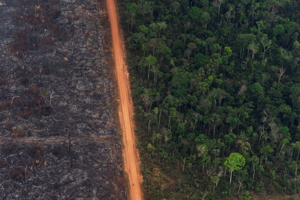 27 de agosto - Estrada separa área de floresta de árvores chamuscadas por queimada em Vila Nova Samuel (RO). A alta no número de queimadas na Amazônia este ano foi tema recorrente e chamou atenção internacional — Foto: Victor R. Caivano/AP