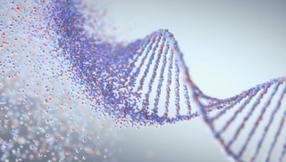 Você faz o que seu DNA manda? Entenda como os fios invisíveis da genética moldam nossas decisões de vida