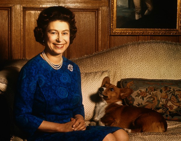 A Rainha Elizabeth teve mais de 30 cães da raça corgi ao longo de seu reinado (Foto: Getty Images/ Divulgação)