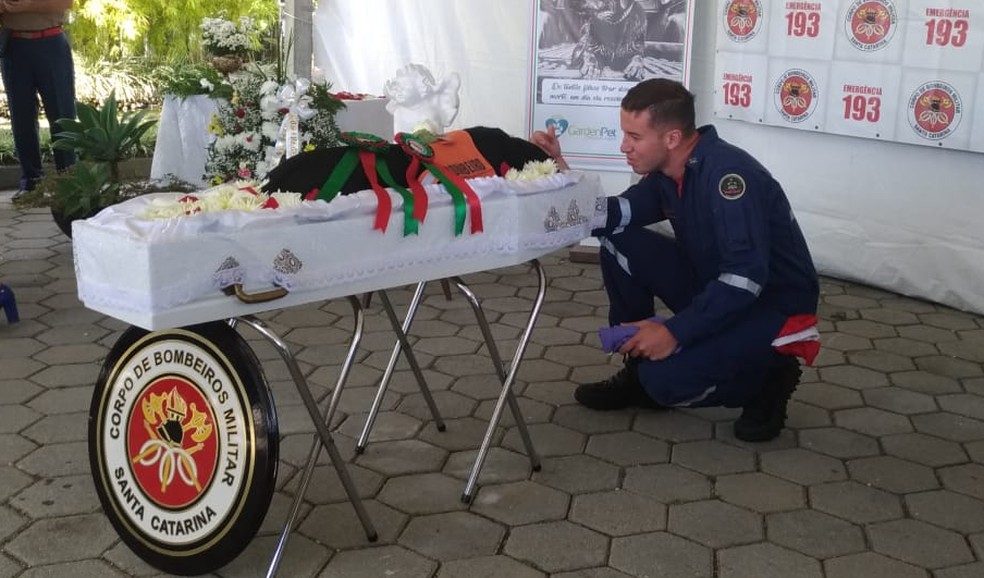 Soldado bombeiro militar Luciano Rangel, com quem o cão formava binômio — Foto: Corpo de Bombeiros/ Divulgação