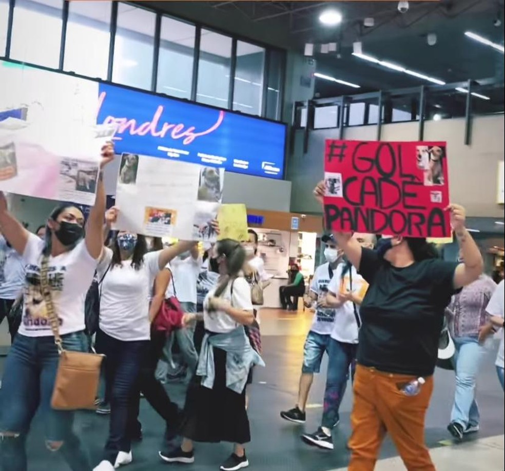 Manifestantes protestam contra a companhia aérea Gol por conta do desaparecimento da cadela Pandora, no aeroporto de Guarulhos, na Grande São Paulo, neste sábado (15) — Foto: Reprodução/Instagram/Pedro Coutinho