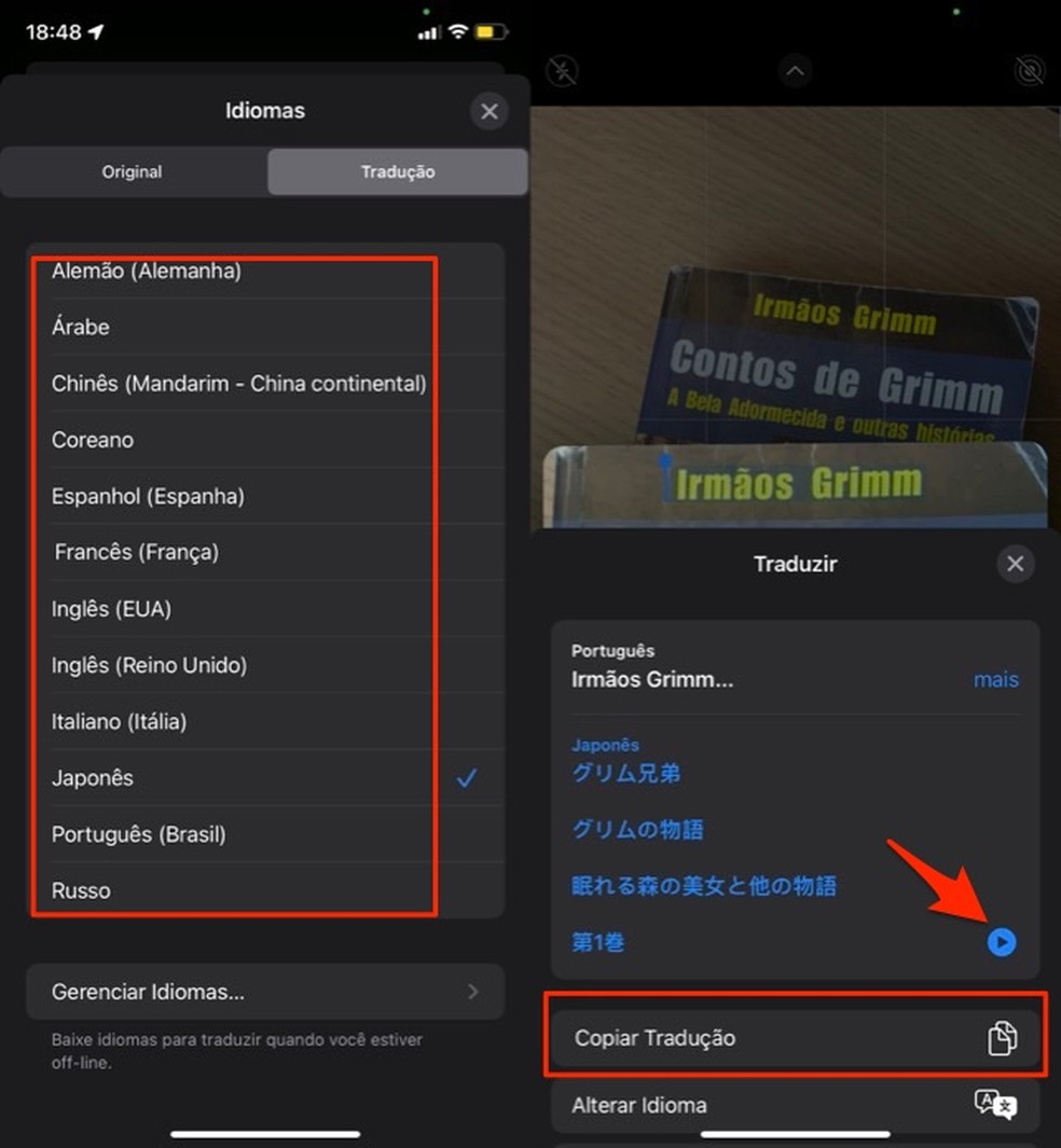 Ação mostra como escolher um idioma de tradução no recurso Texto ao Vivo do iOS 15 — Foto: Reprodução/Marvin Costa