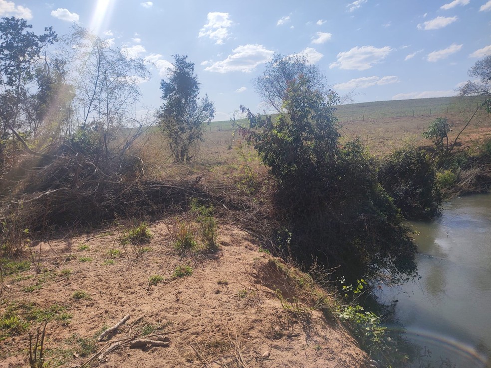 Vegetação nativa à beira de curso d'água foi destruída — Foto: Polícia Ambiental