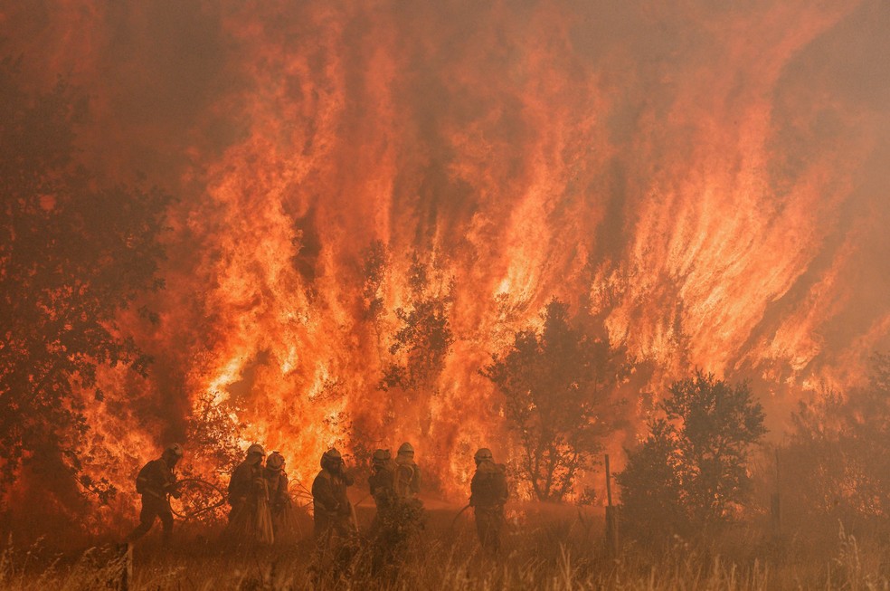 Bombeiros tentam conter incêndio florestal em Pumarejo de Tera, perto de Zamora, norte da Espanha, neste sábado (18) — Foto: Cesar Manso/AFP