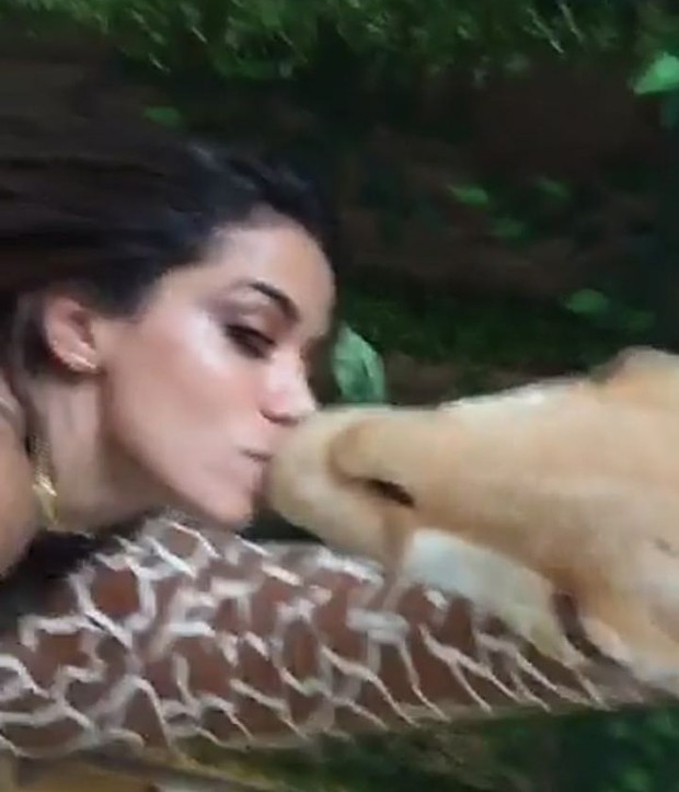 Anitta beijando girafa (Foto: Reprodução)