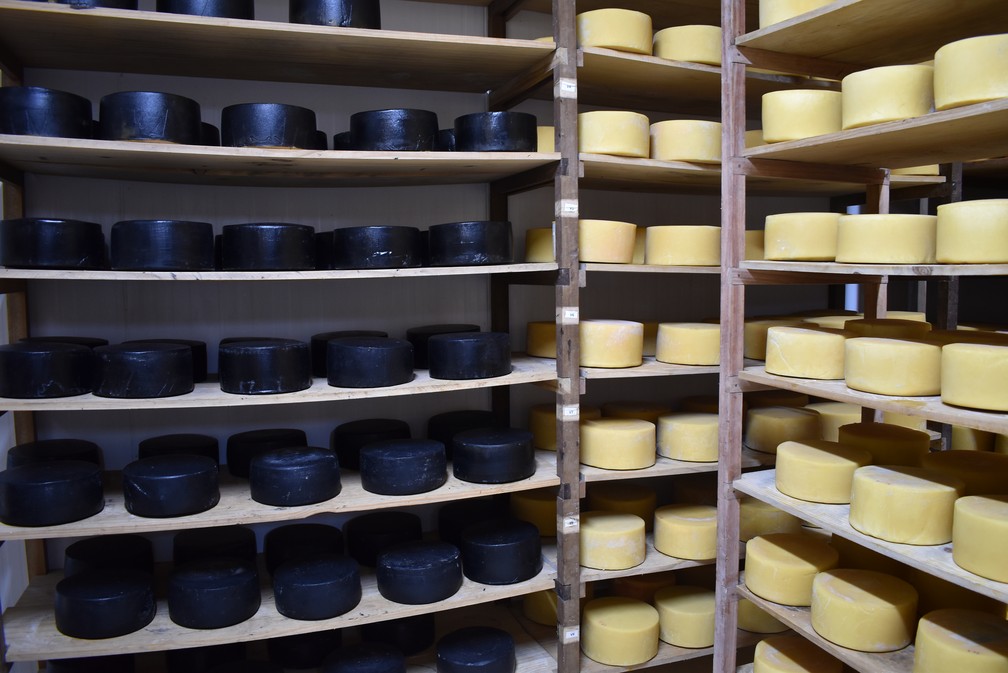 Sala de maturação é como um berçário para os queijos, diz produtor — Foto: Fernanda Rodrigues