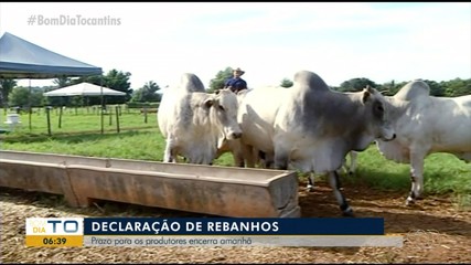 Prazo para declaração de rebanhos dos produtores rurais termina nesta quinta (29)